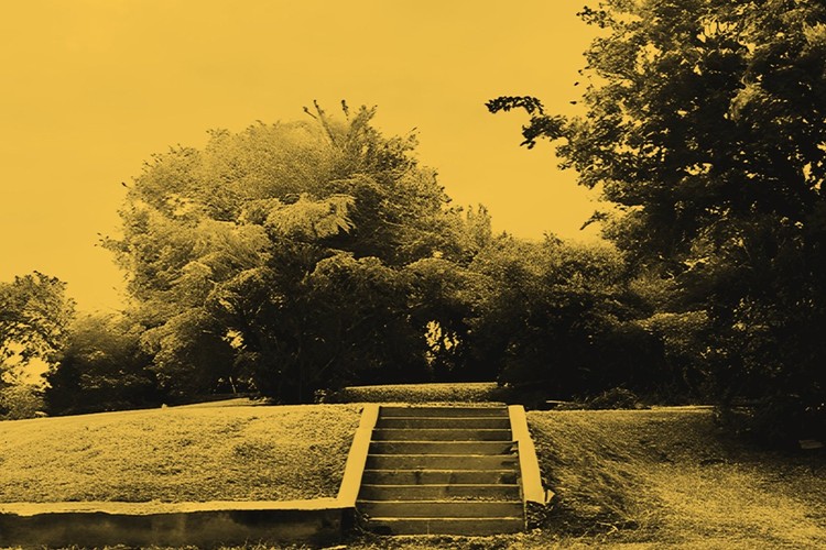 Uplift & Rise - Beyond Apology